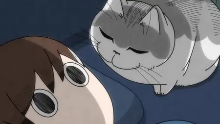 Nights with a Cat - 63