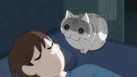 Nights with a Cat - 63