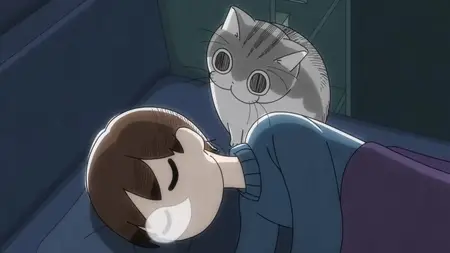 Nights with a Cat - 63