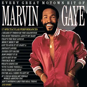 Marvin Gaye - Every Great Motown Hit Of Marvin Gaye (1983/2024) [Official Digital Download]