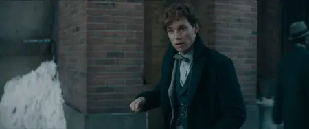 Fantastic Beasts: The Secrets of Dumbledore (2022) [MultiSubs] + Extras