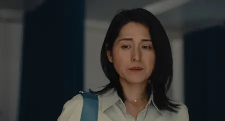 Soft Leaves (2025)