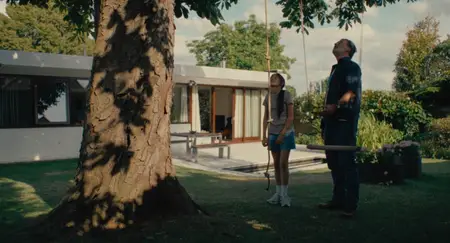 Soft Leaves (2025)