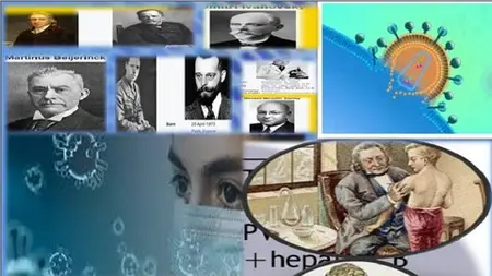 From the Common Cold to COVID: Exploring Human Viral Disease