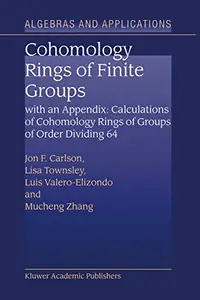 Cohomology Rings of Finite Groups