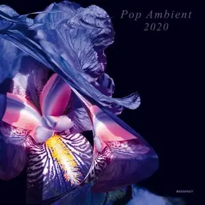 V.A. - Pop Ambient 2020 (2019)