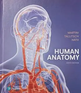 Human Anatomy (Repost)