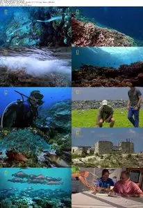 National Geographic - Pacific Ocean Paradise (2011)