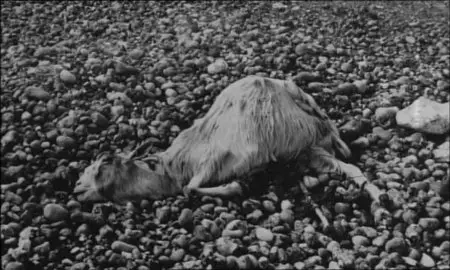Agnès Varda - Ulysse (1982)