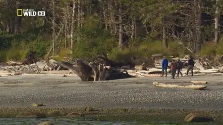 National Geographic - Moksgm'ol: The Quest for the Spirit Bear (2012)