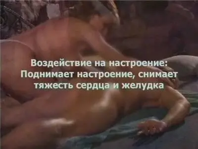 Искусство обольщения (2004) DVDRip