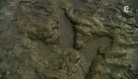 (Fr5) Panique chez les dinosaures (2011)