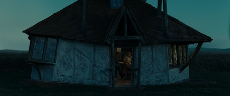 Harry Potter and the Deathly Hallows: Part 1 (2010)