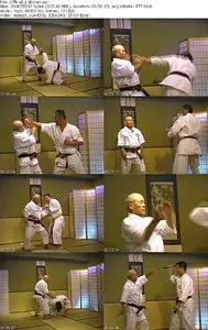 The Official Kubotan