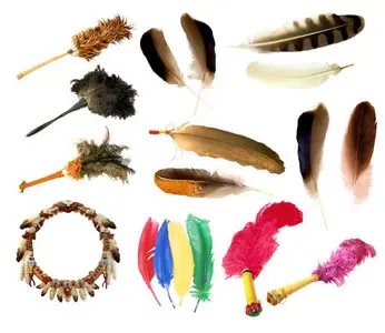 Feathers - Clipart for Photoshop