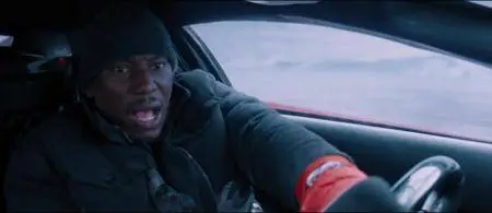 The Fate of the Furious (2017)