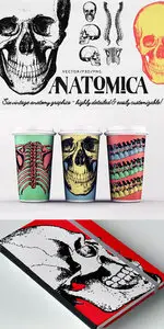 CreativeMarket - ANATOMICA - vector/psd graphics pack