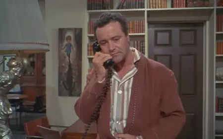 How to Murder Your Wife (1965)