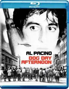 Dog Day Afternoon (1975)