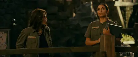 Il Signore dello Zoo (2011)