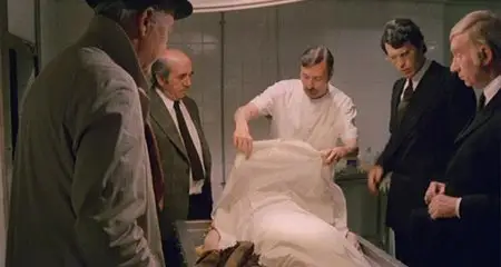 The Pyjama Girl Case (1977)