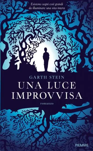 Garth Stein - Una luce improvvisa