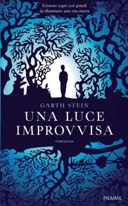 Garth Stein - Una luce improvvisa