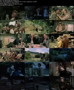 The Tall Stranger (1957)