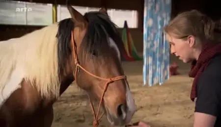(Arte) Guérir avec les chevaux (2012)