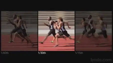 Lynda - The Elements of Effective Photographs