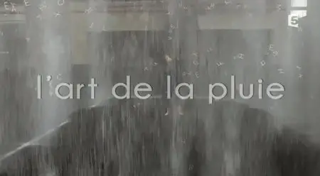 (Fr5) L'art de la pluie (2014)