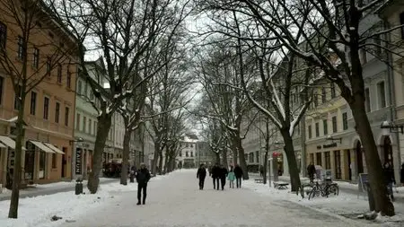 BBC - Bach: A Passionate Life (2013)