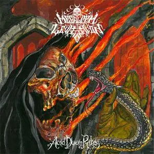 Megalith Levitation - Acid Doom Rites (2019) {Hymns Of Apocalypse}