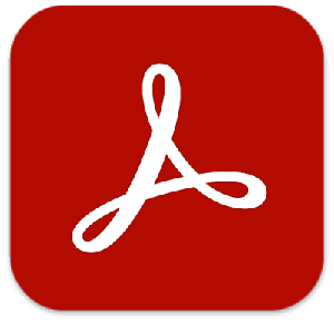Adobe Acrobat Pro DC 2023.003.20201 (x86) Multilingual
