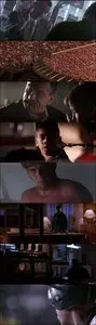 The Fan (1996)