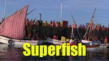 Superfish (2008)