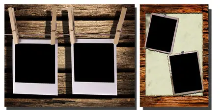 Polaroid vinTAGE 2