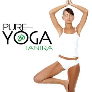 VA - Pure Yoga Vol. 1-8 (2015)