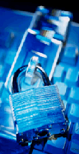 Salfeld Exe Password 7.114.0.0