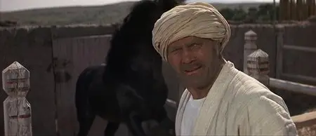 The Horsemen (1971)