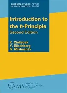 Introduction to the h-Principle, 2nd edition