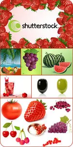 SS Fruit & Berries & Vegetables