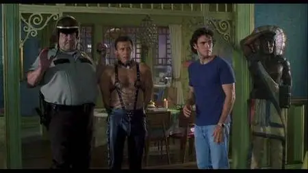 (Comedie) Divine mais Dangereuse / One night at McCool's [DVDrip] BivX
