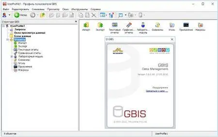 Micromine GBIS 7.8.0.60