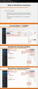 Beginner's Guide to Use WordPress Gutenberg Editor