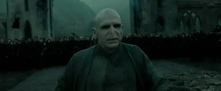 Harry Potter and the Deathly Hallows: Part 2 (2011)
