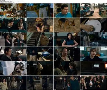 Cool Dog (2010)