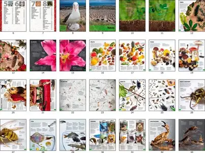 One Million Things: A Visual Encyclopedia by Peter Chrisp