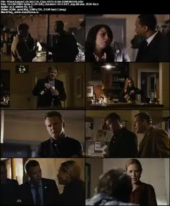 Prime Suspect (2011) S01E10 "A Gorgeous Mosaic"