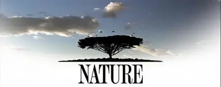 Nature S32E02 - Magic of the Snowy Owl (2012)